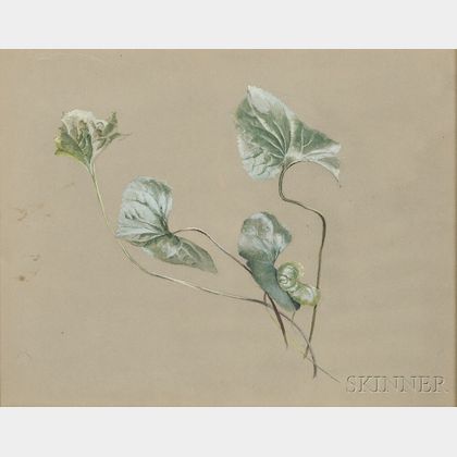Fidelia Bridges (American, 1834-1923) Violet Leaves