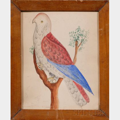 American School, 19th Century Portrait of a Red and Blue Parrot.