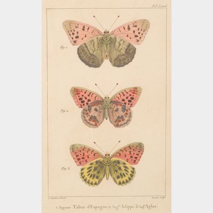 Six Framed Hand-colored Engravings of Butterflies and Moths