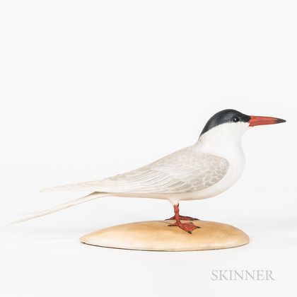 Carved and Painted Figure of a Forster's Tern