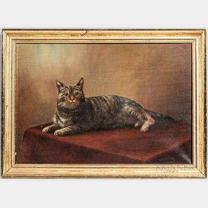 American School, Early 20th Century Portrait of a Tabby Cat