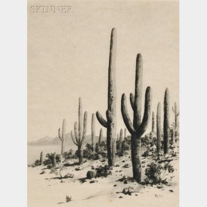 George Elbert Burr (American, 1859-1939) Giant Cactus - Tucson - Arizona