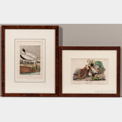 Audubon, John James (1785-1851) Two Octavo Ornithological Chromolithographic Plates.
