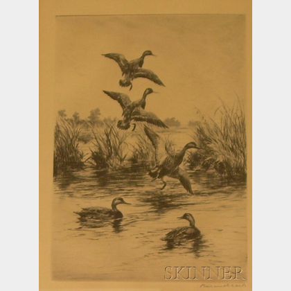 Framed Etching on Paper of Print of Black Ducks by Roland H. Clark (American, 1874-1957)