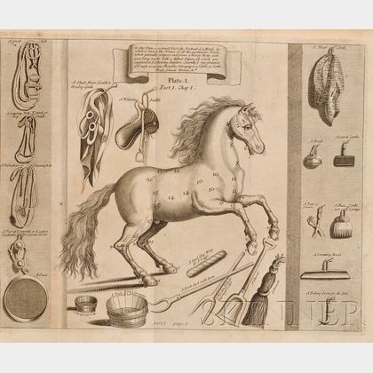 (Equestrian),Solleysell, Jacques, Sieur de (1617-1680)