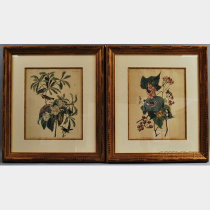 After John James Audubon (American, 1785-1851) Two Framed Photo-reproductions: Bachman's Warbler