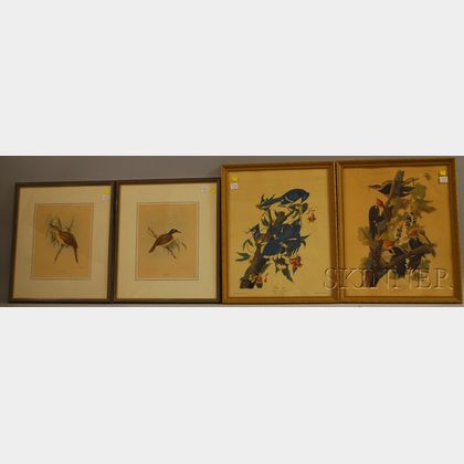 Six Framed Ornithological Prints and Two Watercolors