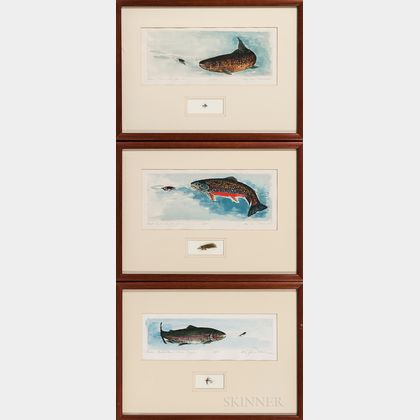 Three Signed Engravings of Trout Species Framed Together with Tied Fishing Flies