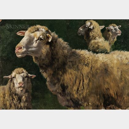 School of Rosa Bonheur (French, 1822-1899) Studies of Sheep