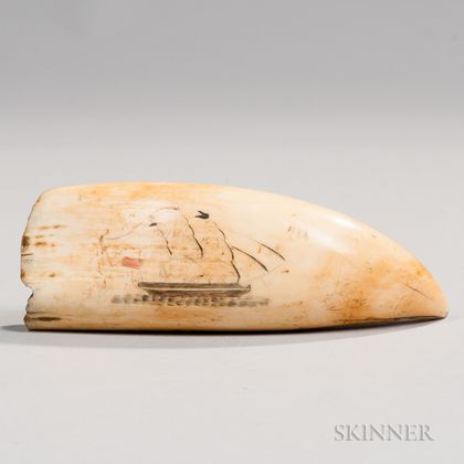 Scrimshaw Whale's Tooth with Image of an American Ship