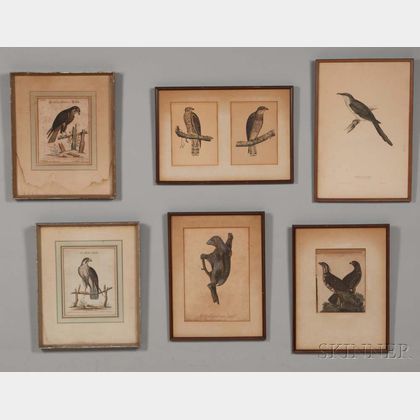 European and American Schools, 18th/19th Century, Seven Framed Prints: Five Birds of Prey including two by George Edwards (British, 169