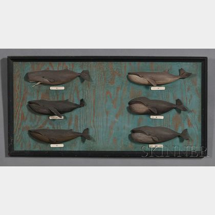 Framed Plaque with Six Carved and Painted Whale Specimens