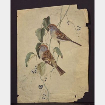 Louis Agassiz Fuertes (American, 1874-1927) Lot of Two Bird Studies