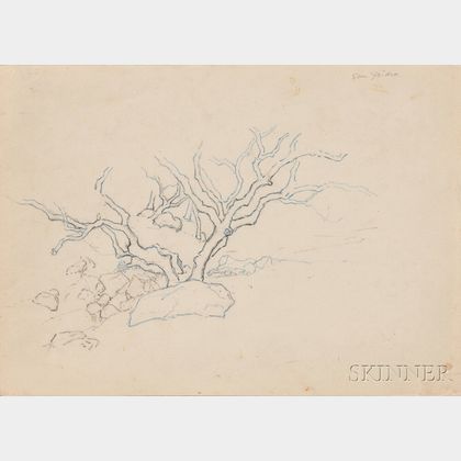 Stephen Maxfield Parrish (American, 1846-1938) Two Works: Tree, San Ysidro, California