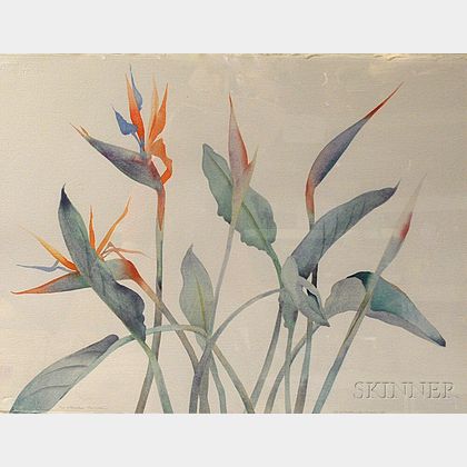 Susan Headley Van Campen (American, b. 1951) Bird of Paradise, Bermuda