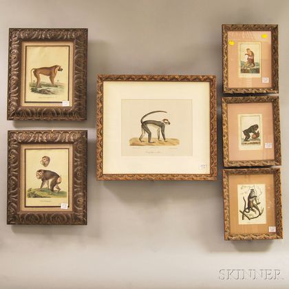 Six Framed Monkey Prints