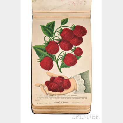 The Specimen Book of Fruits, Flowers, and Ornamental Trees. Carefully Drawn and Colored from Nature for the Use of Nurserymen.