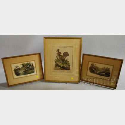 Pair of T. Bowen Hand-colored Lithograph Plates Yellow Shanks Snipes