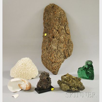 Group of Assorted Decorative and Collectible Natural and Scientific Fragments and Items
