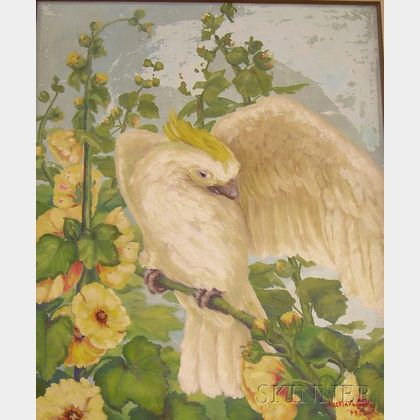 Framed Oil on Canvas View of a Perched Sulphur-Crested Cockatoo