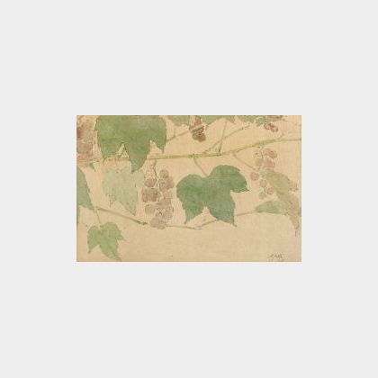 Elmer Livingston MacRae (American, 1875-1953) Lot of Two Watercolors Including: Grape Vine and Magnolia