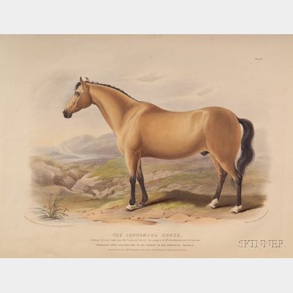 Low, David (1786-1859)