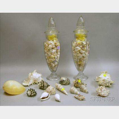 Pair of Decorative Colorless Glass Jars with Seashells and Approximately Fifteen Assorted Loose Exotic Seashell... 