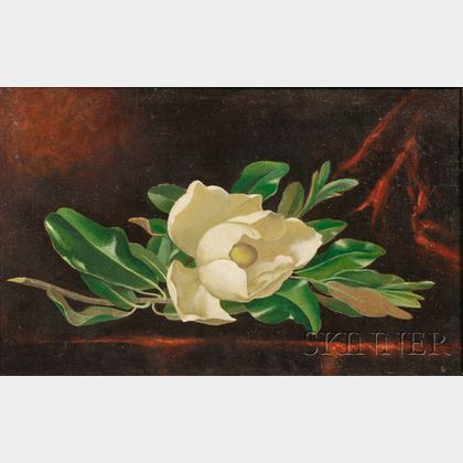 After Martin Johnson Heade (American, 1819-1904) Magnolia