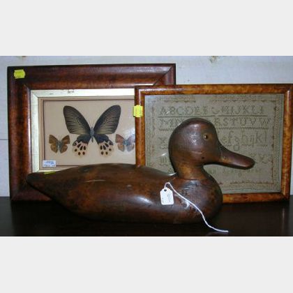 L.M. Bailey Carved Wood Duck Decoy, a 19th Century Needlework Sampler, and a Framed Butterfly Study. 