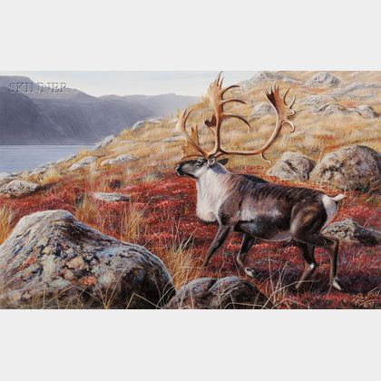 Desmond McCaffrey (Canadian, b. 1962) Red Carpet King /Caribou