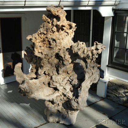 Massive Root Sculpture