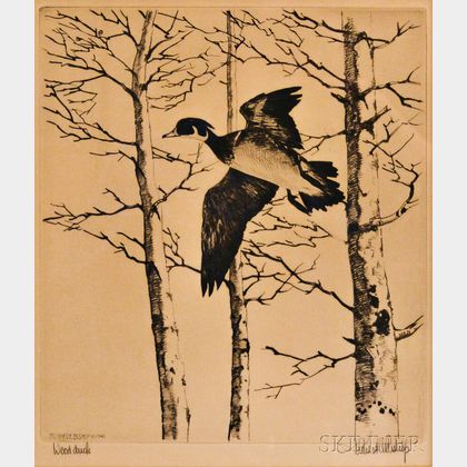 Richard Evett Bishop (American, 1887-1975) Wood Duck