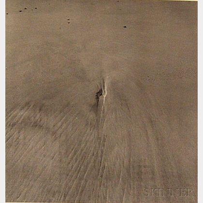 After Harry Callahan (American, 1912-1999) Water's Edge