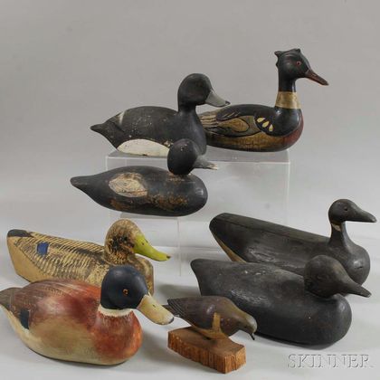 Seventeen Carved and Painted Duck Decoys