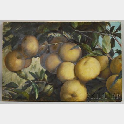American School, 19th/20th Century Cluster of Yellow Apples on a Tree