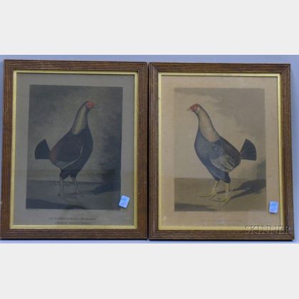 Pair of Oak Framed English Hand-colored Lithograph Portraits of Fighting Cocks
