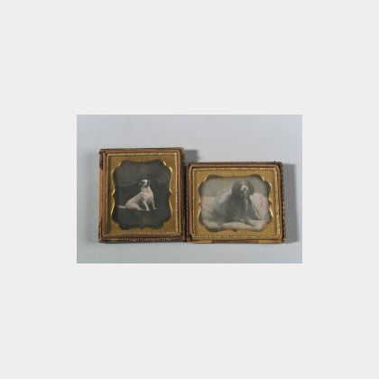 Two Daguerreotypes of Dogs