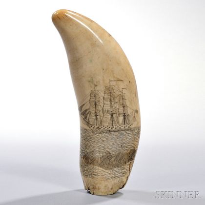 Large Scrimshaw-decorated Whale's Tooth