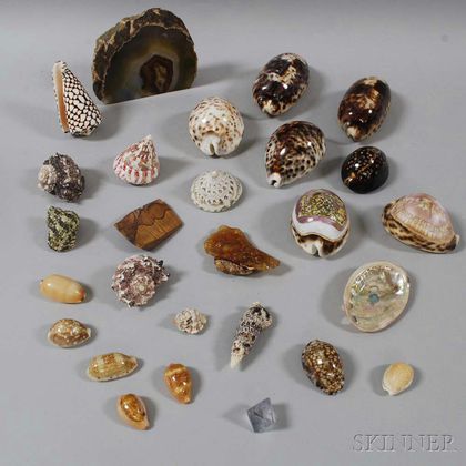 Group of Shells, Mineral Specimens, and Arrowheads. Estimate $100-200
