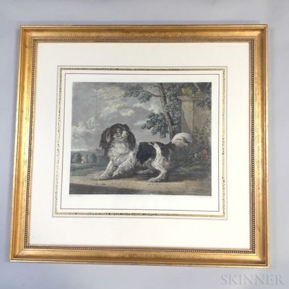 Two Framed Engravings of Dogs