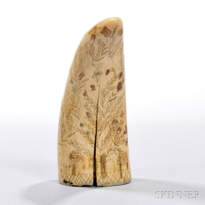 Small Scrimshaw-decorated Whale's Tooth