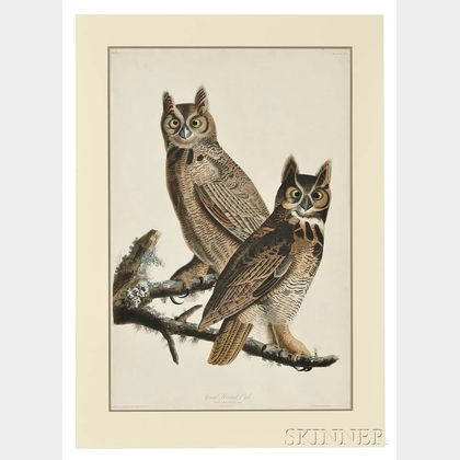 Audubon, John James (1785-1851) Great Horned Owl, Plate LXI.