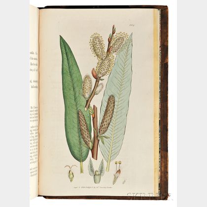 Sowerby, James (1757-1822) English Botany , Partial Set, Eighteen Volumes.