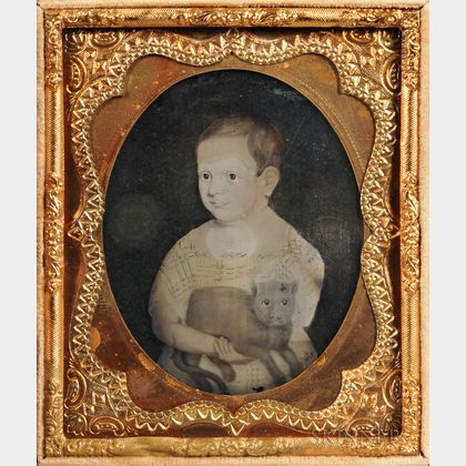 Sixth-plate Ambrotype of a Folk Portrait of a Child Holding a Cat