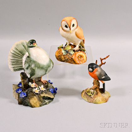 Three Royal Crown Derby Porcelain Bird Figures