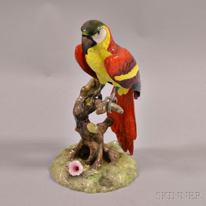 Royal Crown Derby Porcelain Macaw