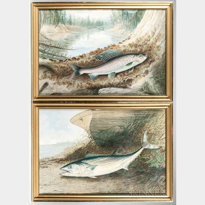 Two Framed Chromolithographs of Fish, After Samuel A. Kilbourne (American, 1836-1881) from Game Fishes of the United States 