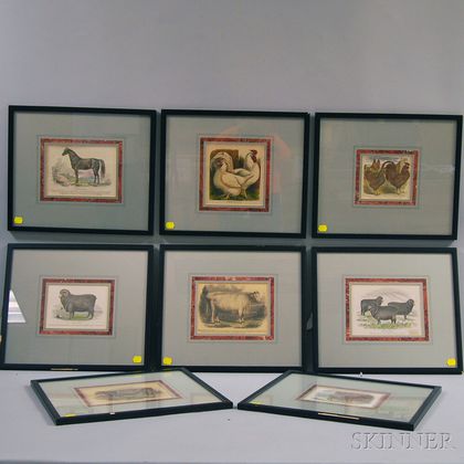 Anglo/American School, 19th Century Eight Framed Prints of Domestic Animals