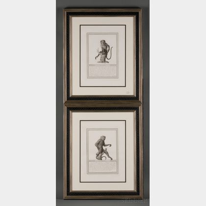 Four Framed Engravings of Monkeys