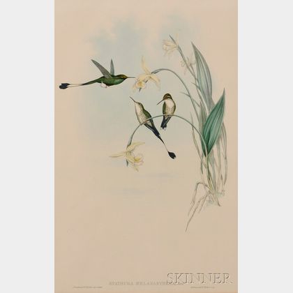 Gould, John (1804-1881) Two Hummingbird Prints.